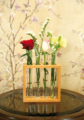 Square Plant Holder (4 Holes) (1 Tube Extra)
